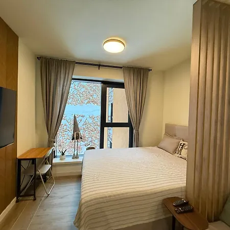 Center - Skyhill Fairy